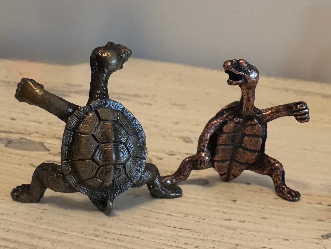 Bronze Turtle Incense Holders