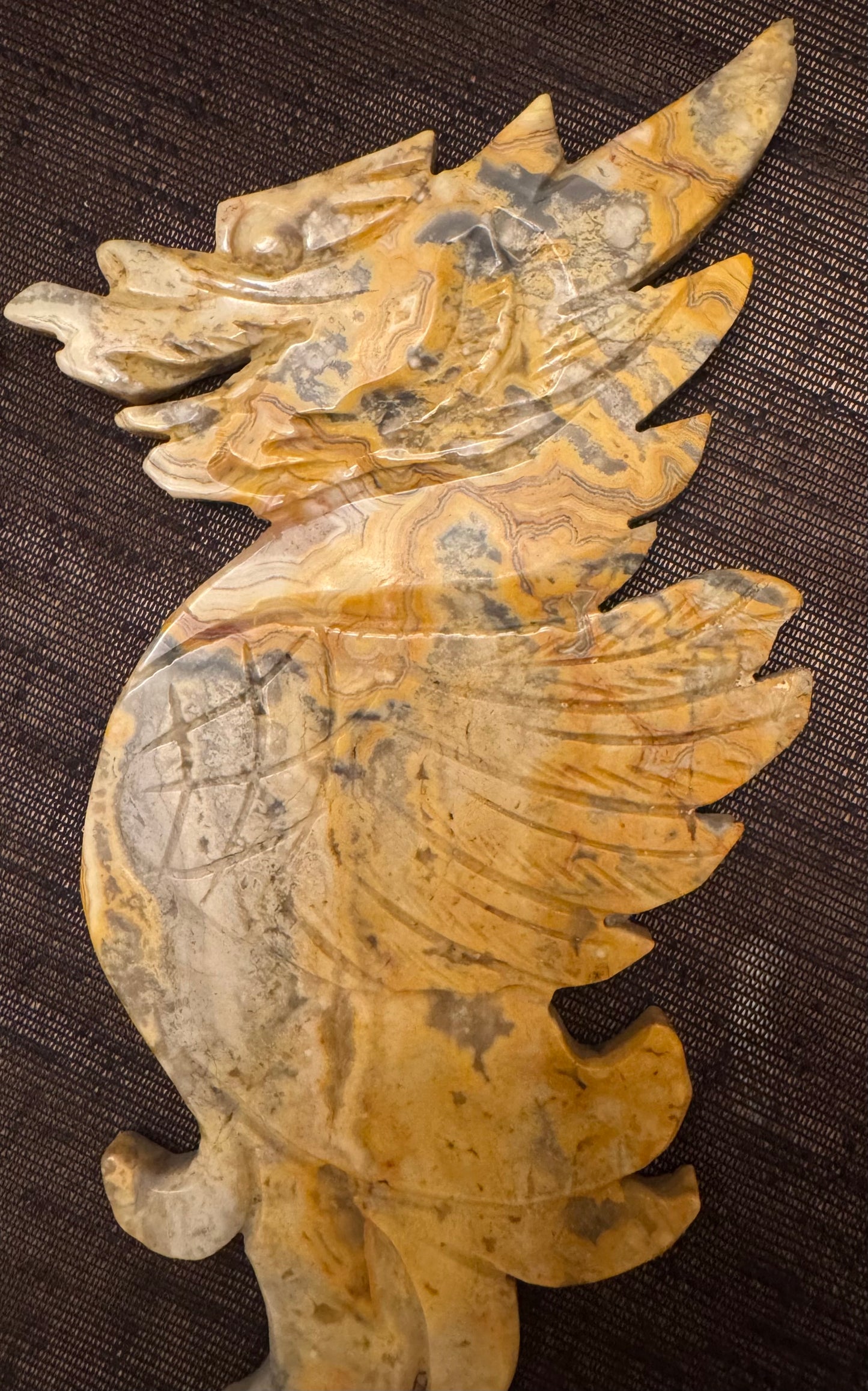 Crazy Lace Agate Dragon Wings