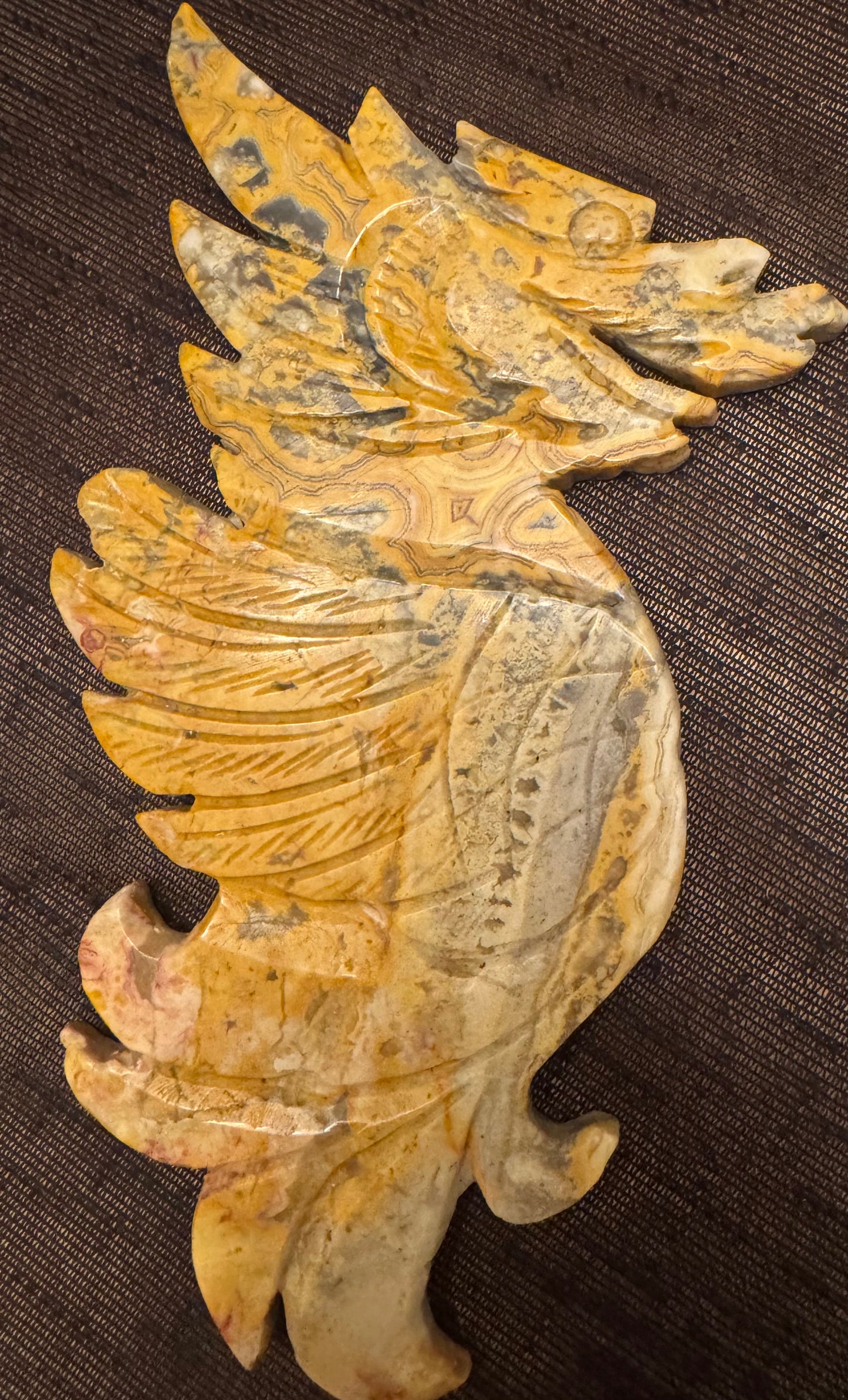 Crazy Lace Agate Dragon Wings