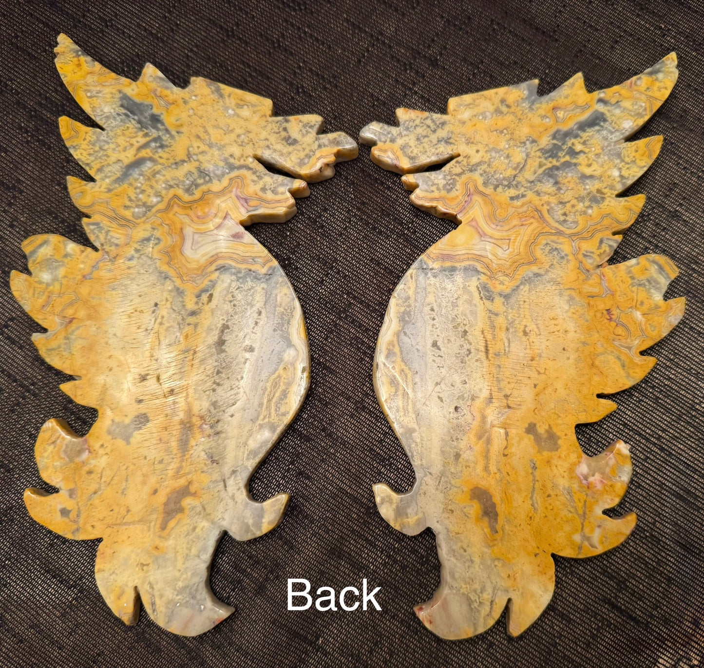 Crazy Lace Agate Dragon Wings