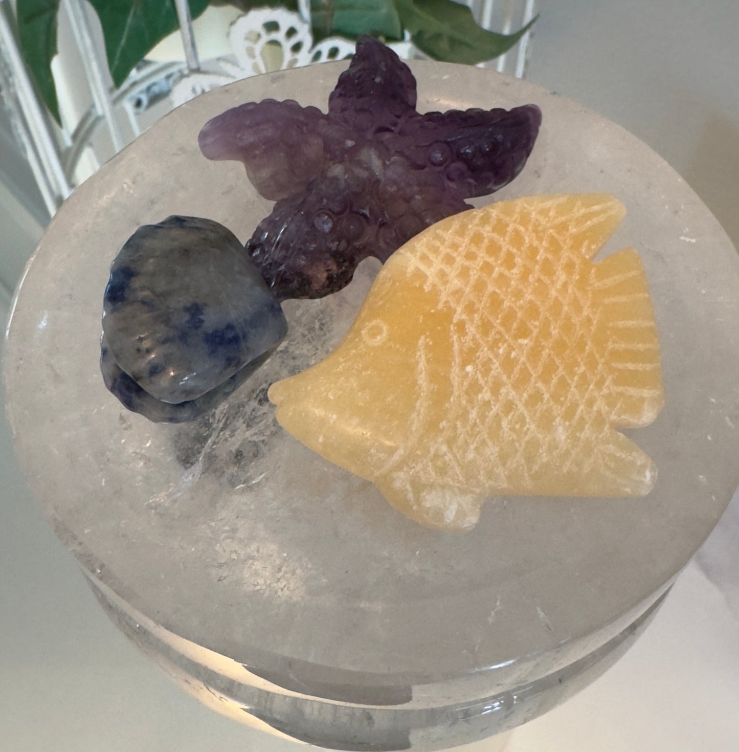 Clear Quartz Bowl with Starfish