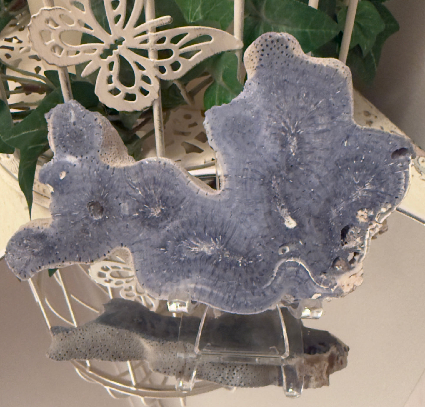 Natural Blue Ridge Coral (D)Slab