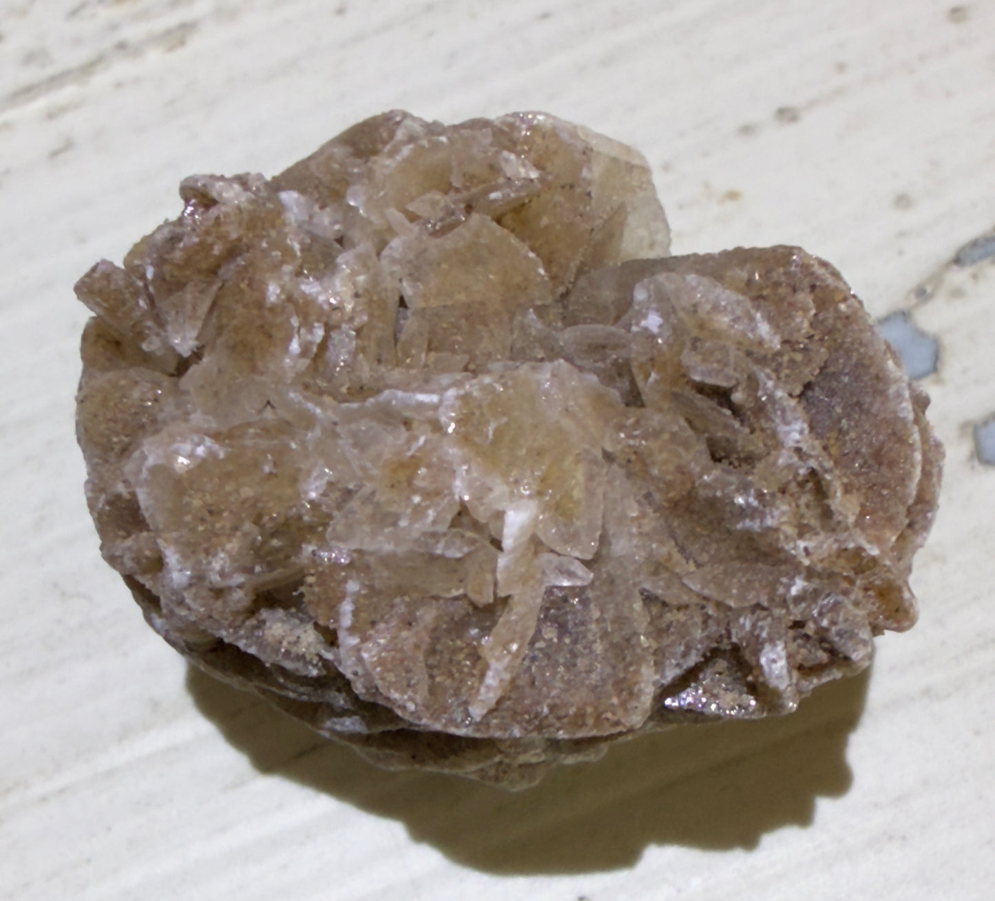 š Desert Rose Selenite š¤