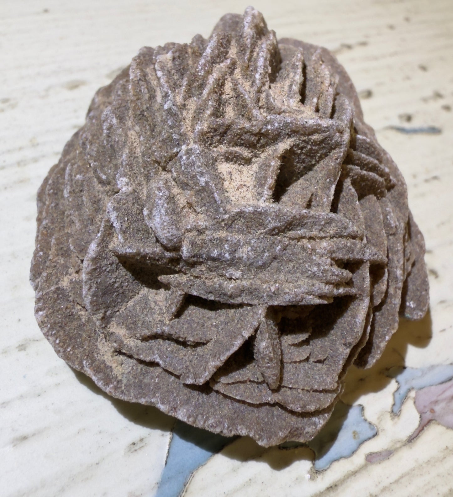 š Desert Rose Selenite š¤