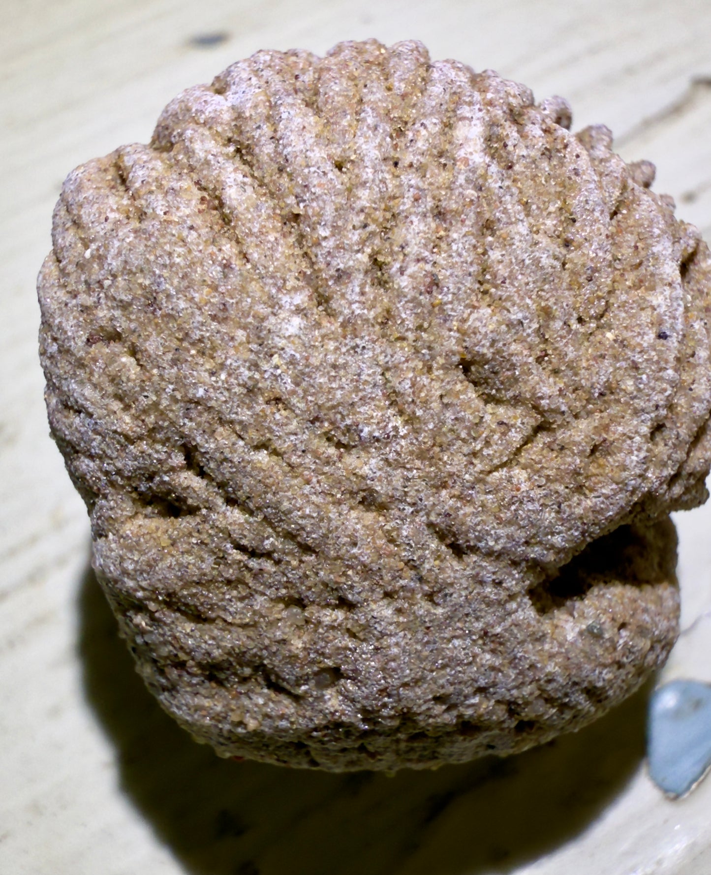 š Desert Rose Selenite š¤