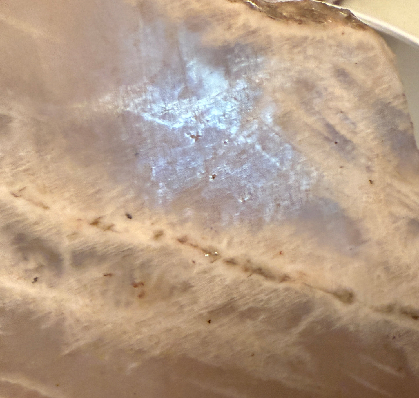 Moonstone Mineral Slab Adularescence (B)