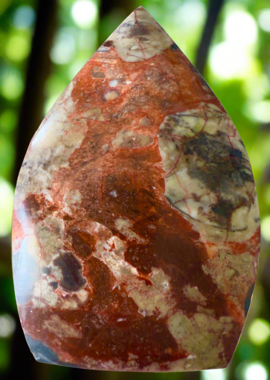 Brecciated Jasper TearDrop Freeform (A)