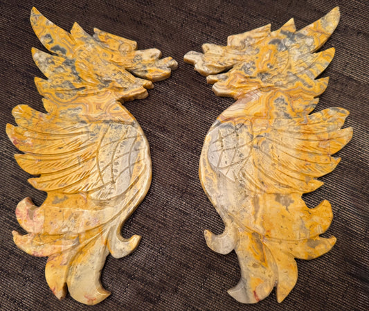 Crazy Lace Agate Dragon Wings