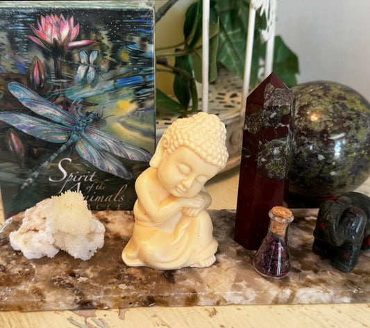 Blood Stone & Spirit of the Animals Oracle w/Quartz Slab Set