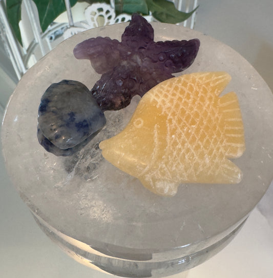Clear Quartz Bowl with Starfish