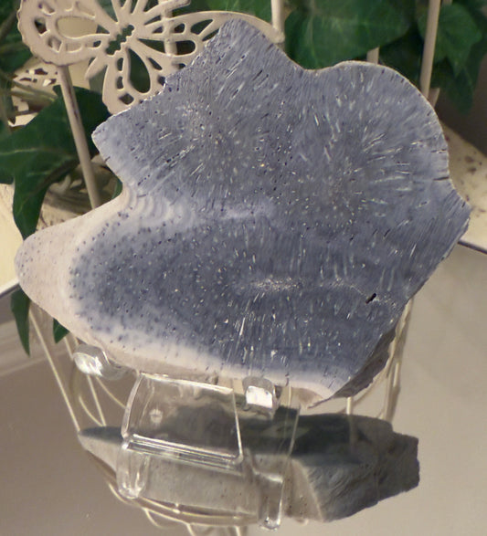 Natural Blue Ridge Coral (E)Slab