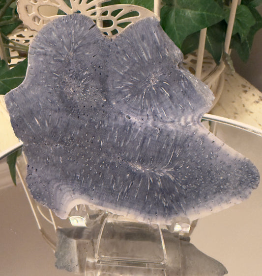 Natural Blue Ridge Coral (E)Slab