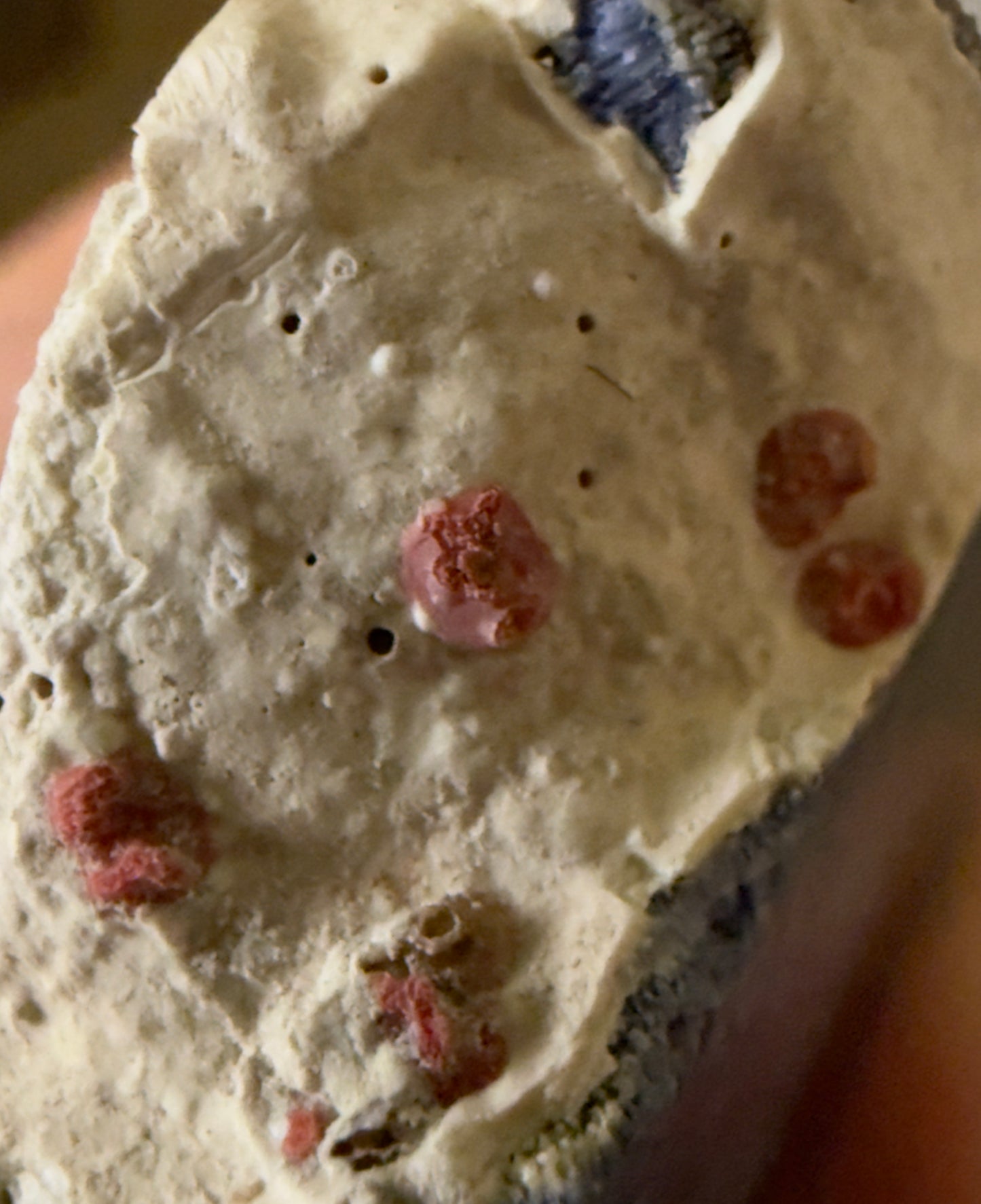 Natural Blue Ridge Coral (D)Slab