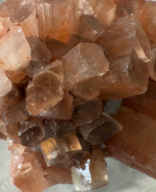 🍃 Aragonite Specimen 🤍
