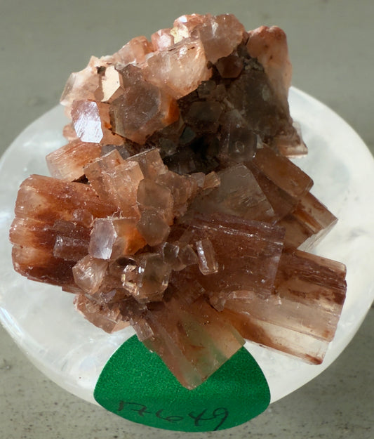 🍃 Aragonite Specimen 🤍