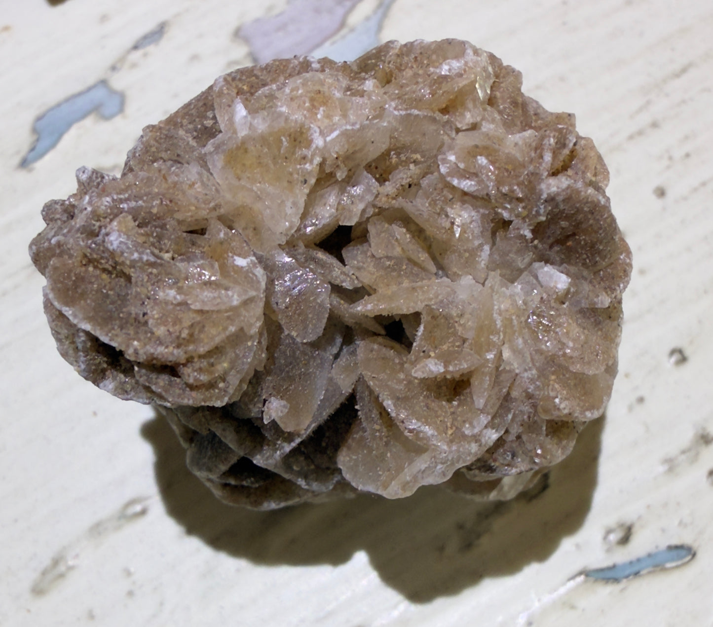 🍃 Desert Rose Selenite 🤍