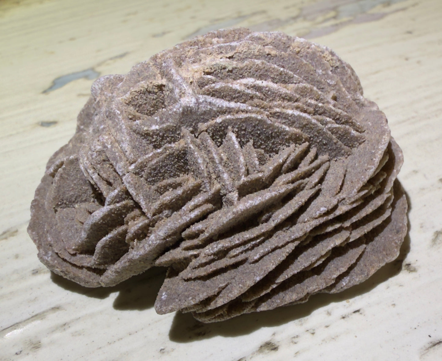 🍃 Desert Rose Selenite 🤍