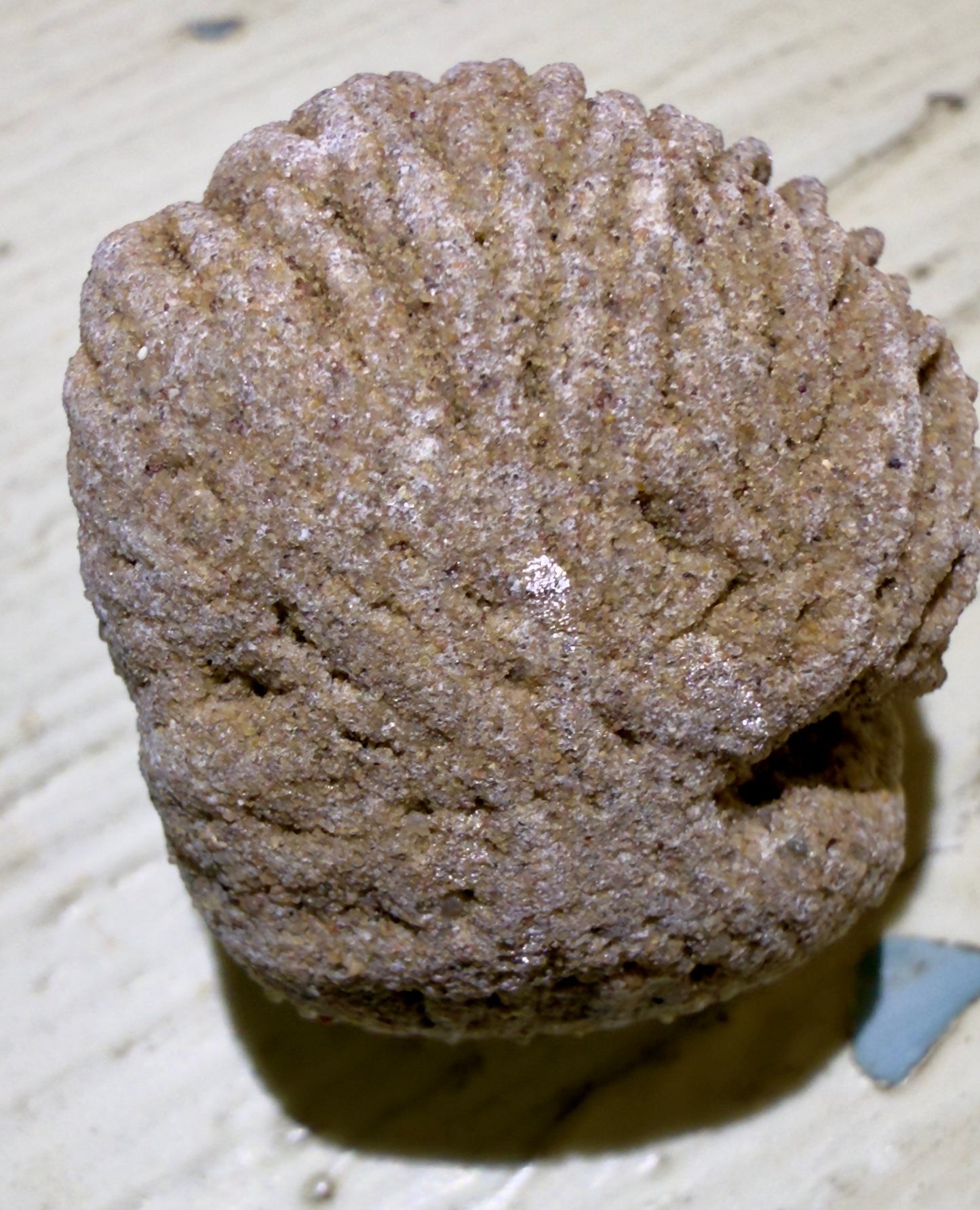 🍃 Desert Rose Selenite 🤍