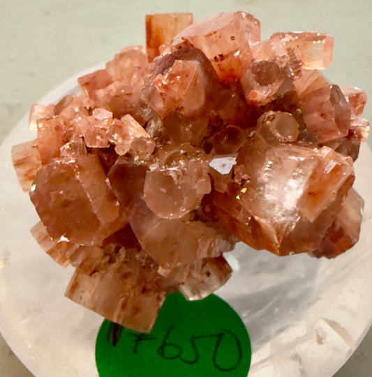 🍃 Aragonite Cluster 17650 🤍