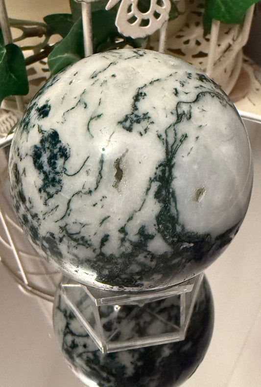 Tree Agate Sphere B (L)