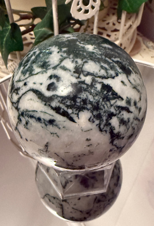 Tree Agate Sphere B (L)