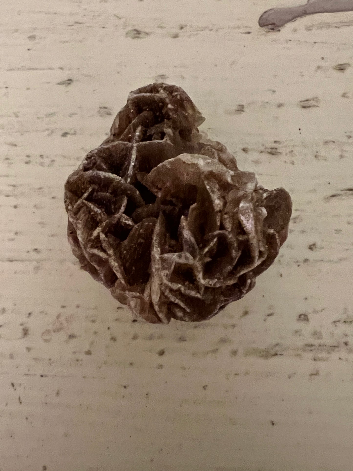 Desert Rose Selenite